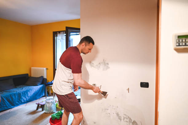 Best Home Mold Removal  in Crestview Hills, KY